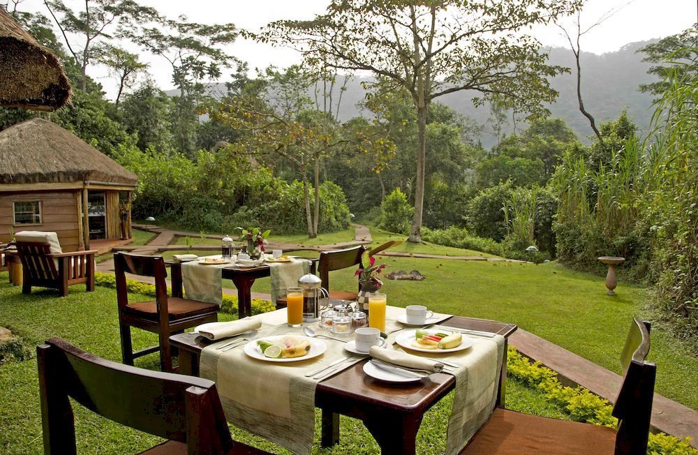 Sanctuary Gorilla Forest Camp Hotel Ntungamo  Luaran gambar