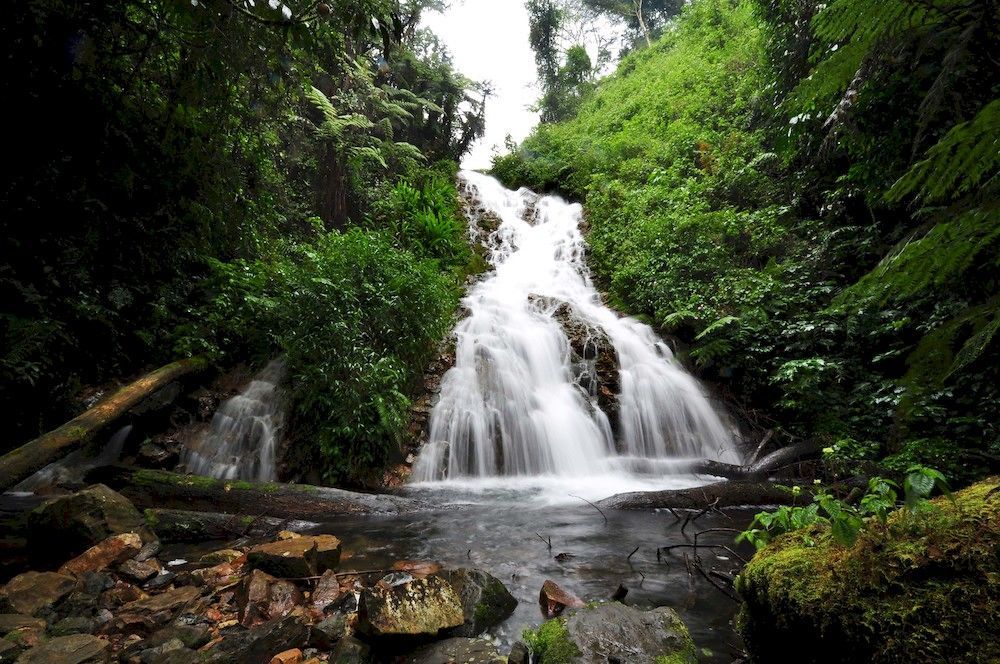 Sanctuary Gorilla Forest Camp Hotel Ntungamo  Luaran gambar