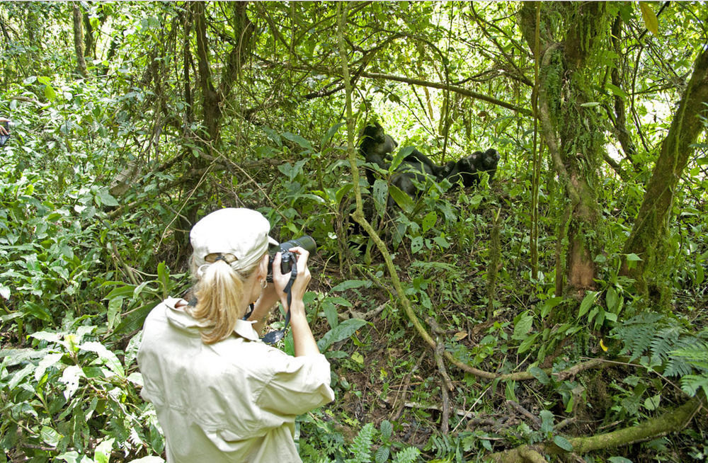 Sanctuary Gorilla Forest Camp Hotel Ntungamo  Luaran gambar