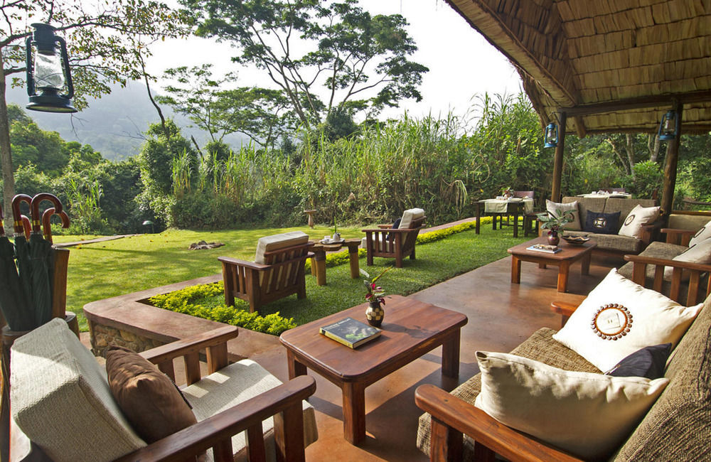 Sanctuary Gorilla Forest Camp Hotel Ntungamo  Luaran gambar